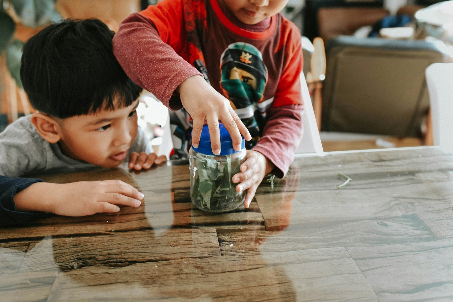WonderBloom-financial-literacy-tools-for-early-learners