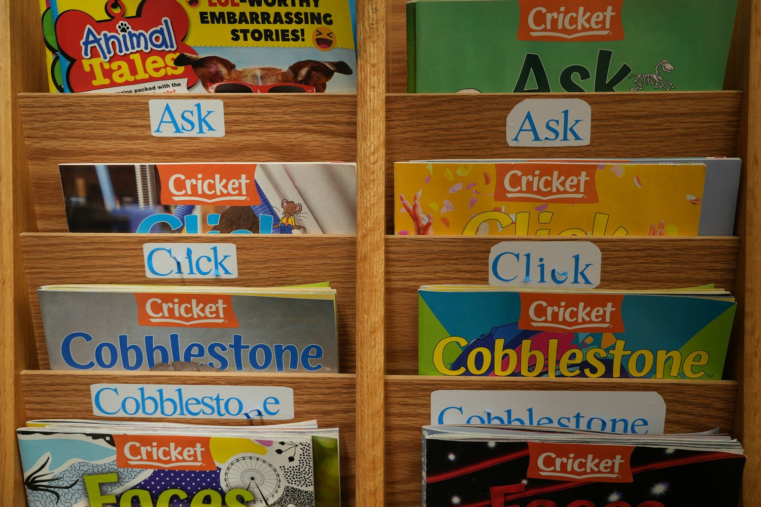 Early-literacy-and-reading-development-tools-for-kids-learning-phonics-and-comprehension