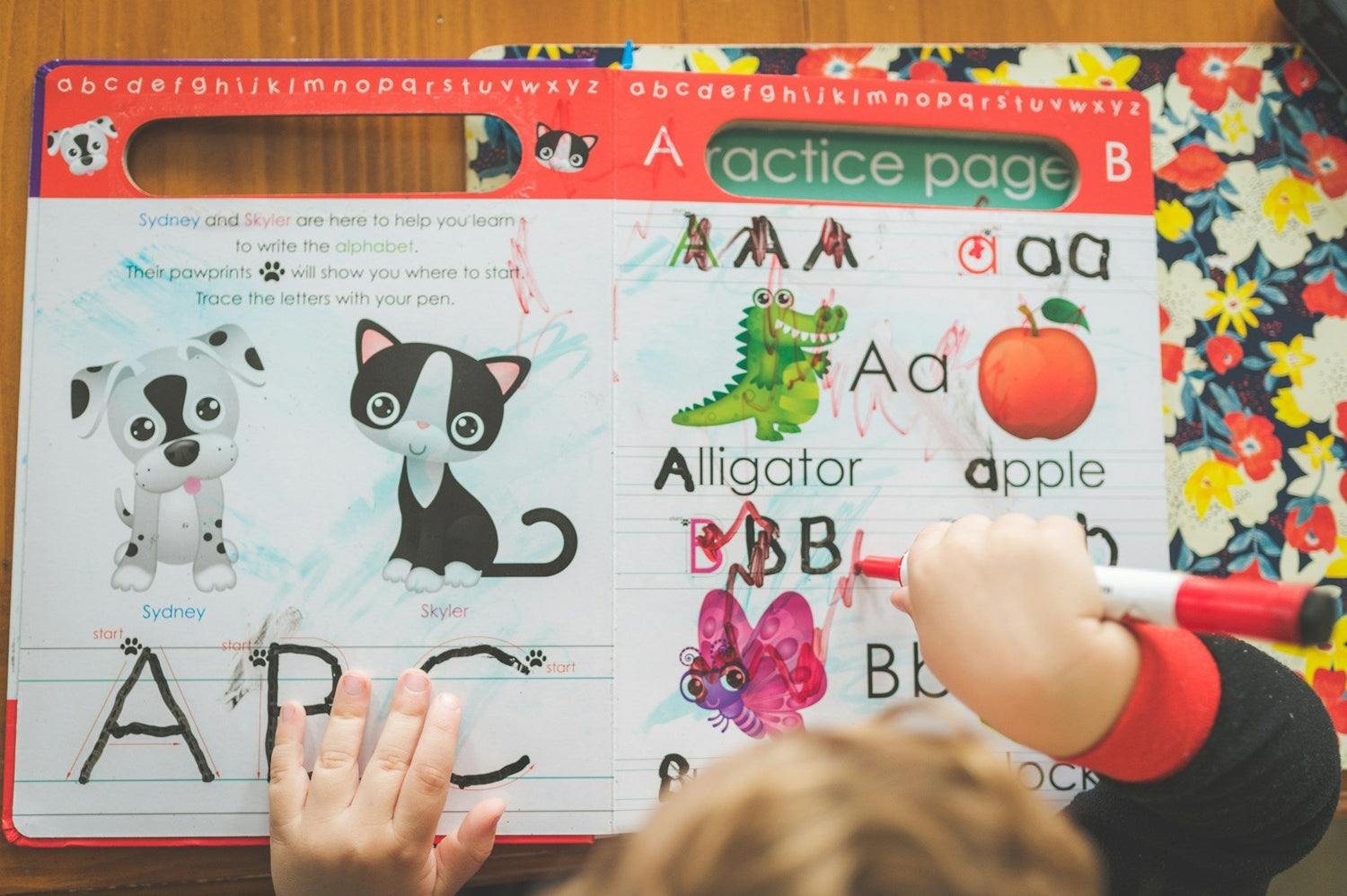 Speech-development-toys-for-early-communication-skills