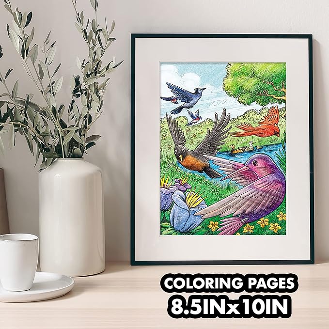 Crayola Bird Coloring Book (40pgs), Adult Coloring Pages, 8.5 x 10, Stress Relieving Coloring, Mindfulness Activity for Adults